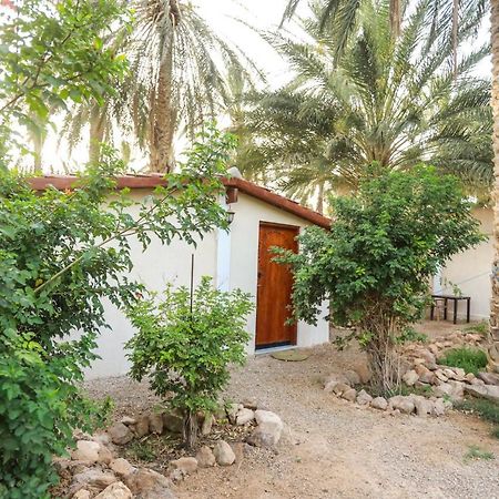 Dar Barka Hotel Kebili Екстериор снимка