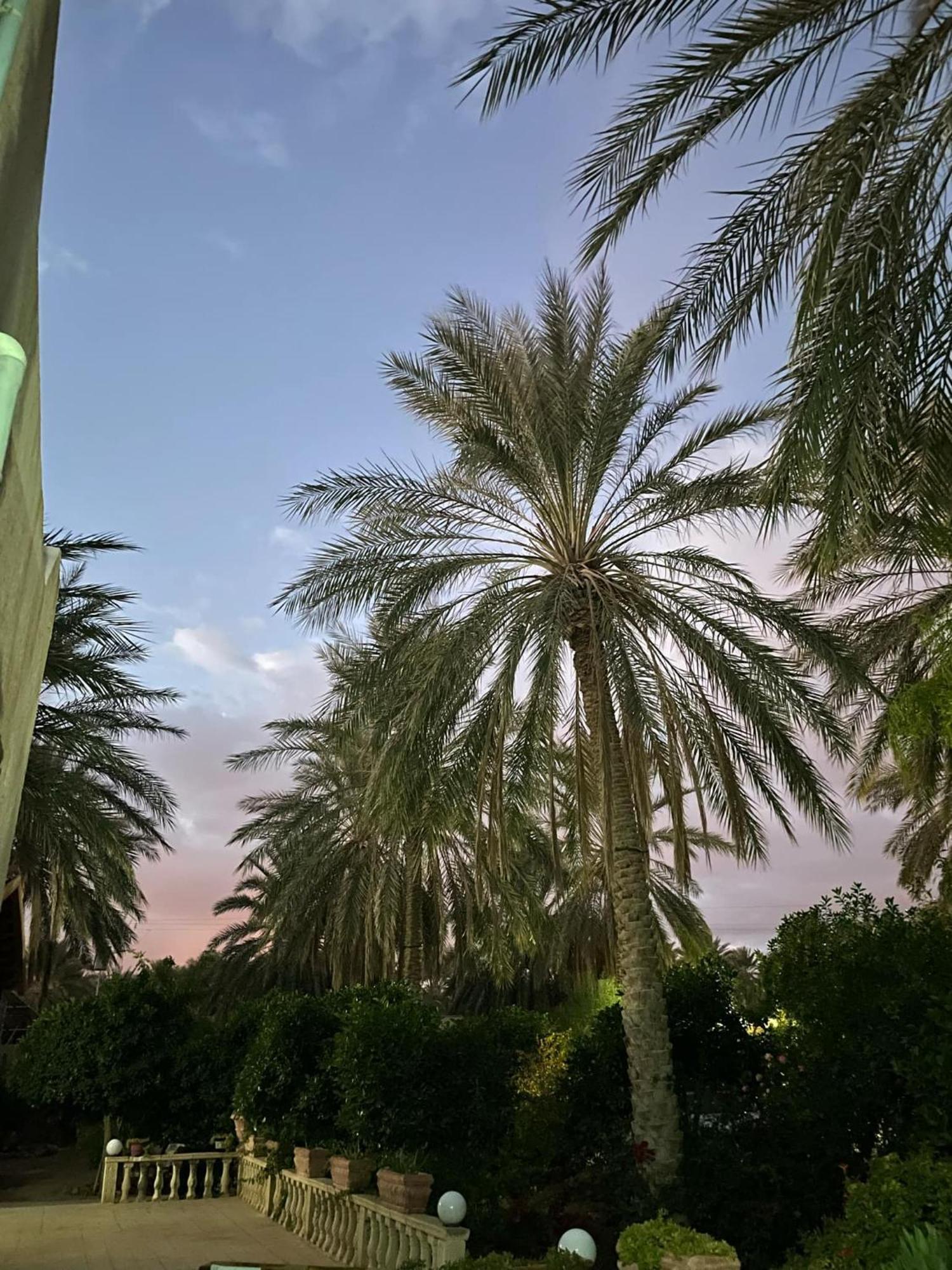 Dar Barka Hotel Kebili Екстериор снимка